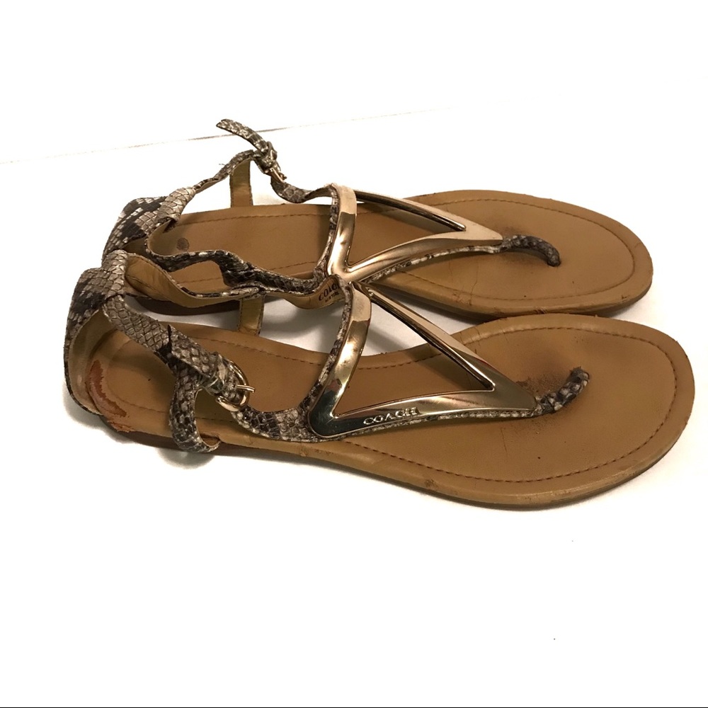 Coach T-Strap Sandals Snake Print
